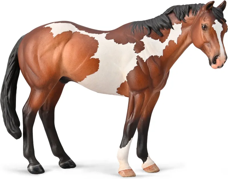 Figurine - Appaloosa Hengst Bay - 1:20 - Paarden - Handgeschilderd - Miniatuur by Collecta in Brown – product photo