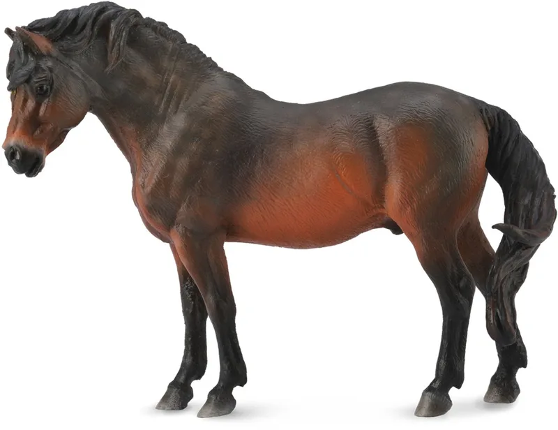 Figurine - Dartmoor Pony Voskleurig - (L) - Paarden - Handgeschilderd - Miniatuur by Collecta in Brown – product photo