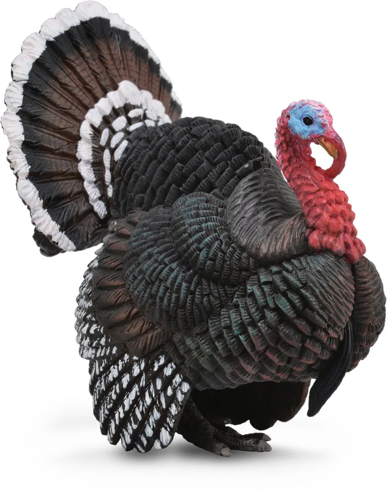 Figurine - Kalkoen - (L) - Boerderijdieren - Handgeschilderd - Miniatuur by Collecta in Multicolor – product photo