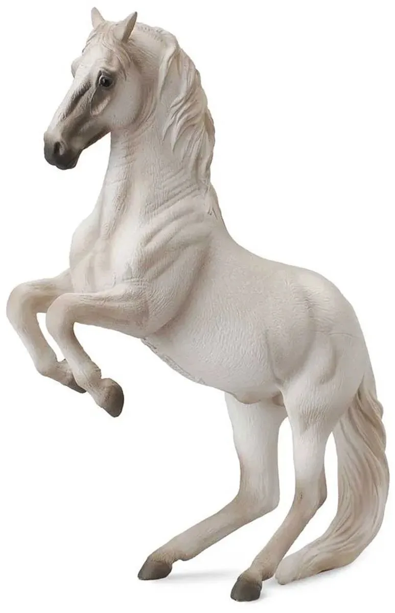 Figurine - Lipizzaner Hengst - (Xl) - Paarden - Handgeschilderd - Miniatuur by Collecta in White – product photo