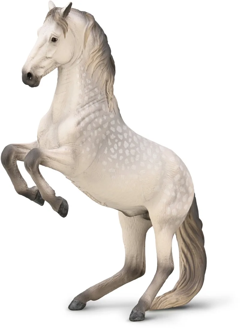 Figurine - Lipizzaner Hengst - (Xl) - Paarden - Handgeschilderd - Miniatuur by Collecta in Multicolour – product photo