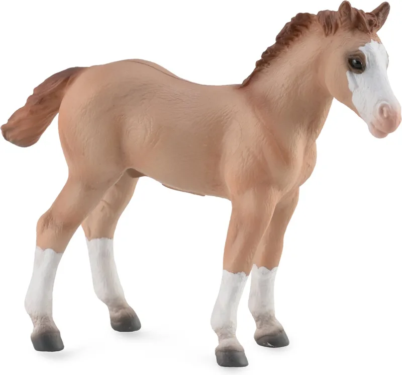 Paarden (M): QUARTER VEULEN WILDKLEUR-ROOD 10.3x8.2cm van Collecta in Rood – productfoto