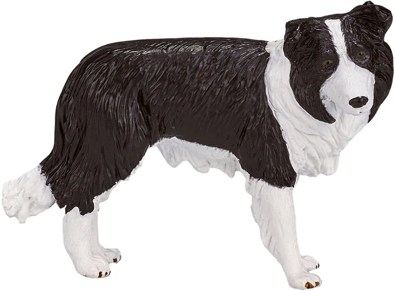 Farmland Border Collie - 387203 by Mojo in Black, White – product photo