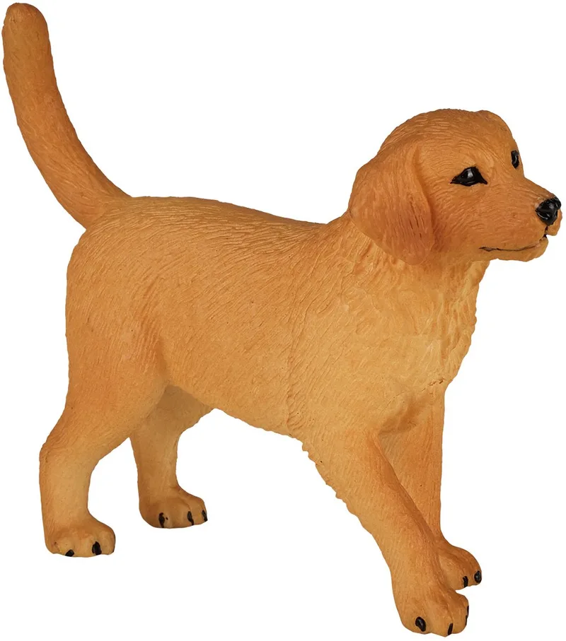 Farmland Golden Retriever Puppy - 387205 by MOJO in Goudbruin – product photo