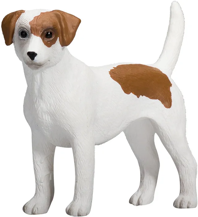 Farmland Jack Russell Terriër