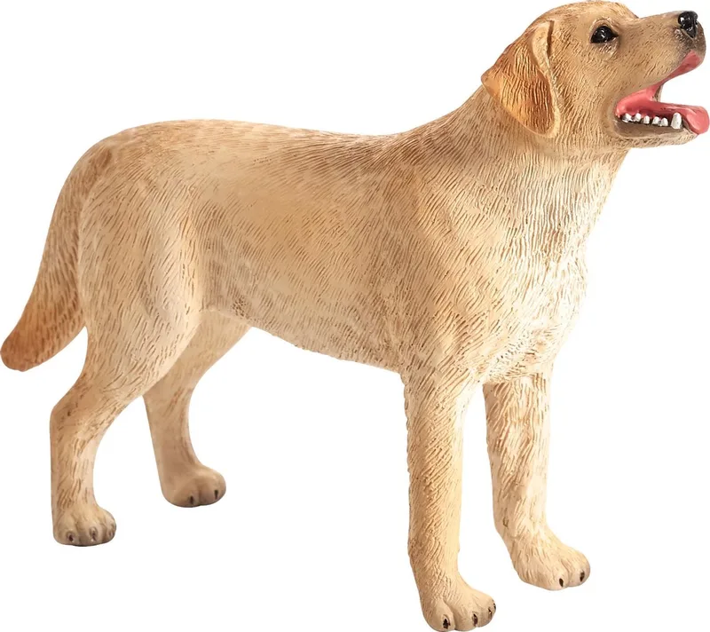 Farmland Labrador - 387271 by MOJO in Lichtbruin – product photo