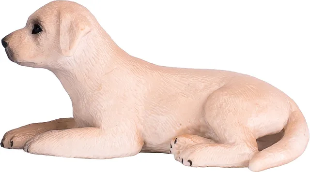 Farmland Labrador Puppy