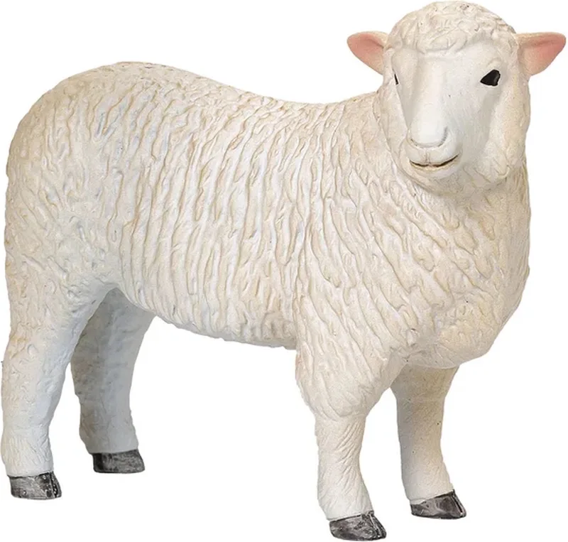 Farmland Romney Schaap Ooi - 381064 by MOJO in Multi kleuren – product photo