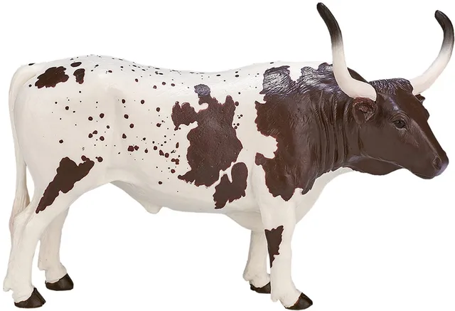 Farmland Texas Longhorn Stier