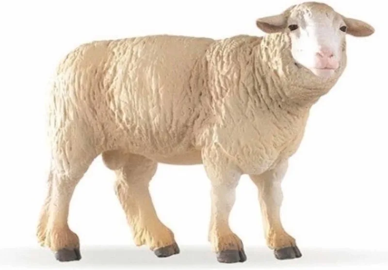 Speelfiguur - Boerderijdier - Schaap - Merino van Papo in Meerkleurig – productfoto