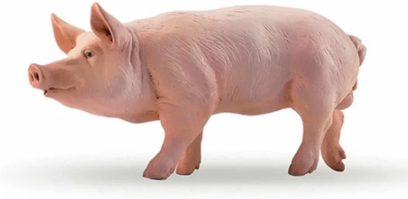 Speelfiguur - Boerderijdier - Varken - Beer de Papo en Multicolore – photo du produit
