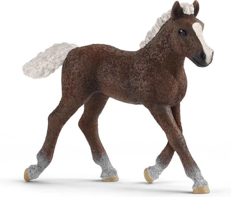13899 Black Forest Foal by Schleich – product photo