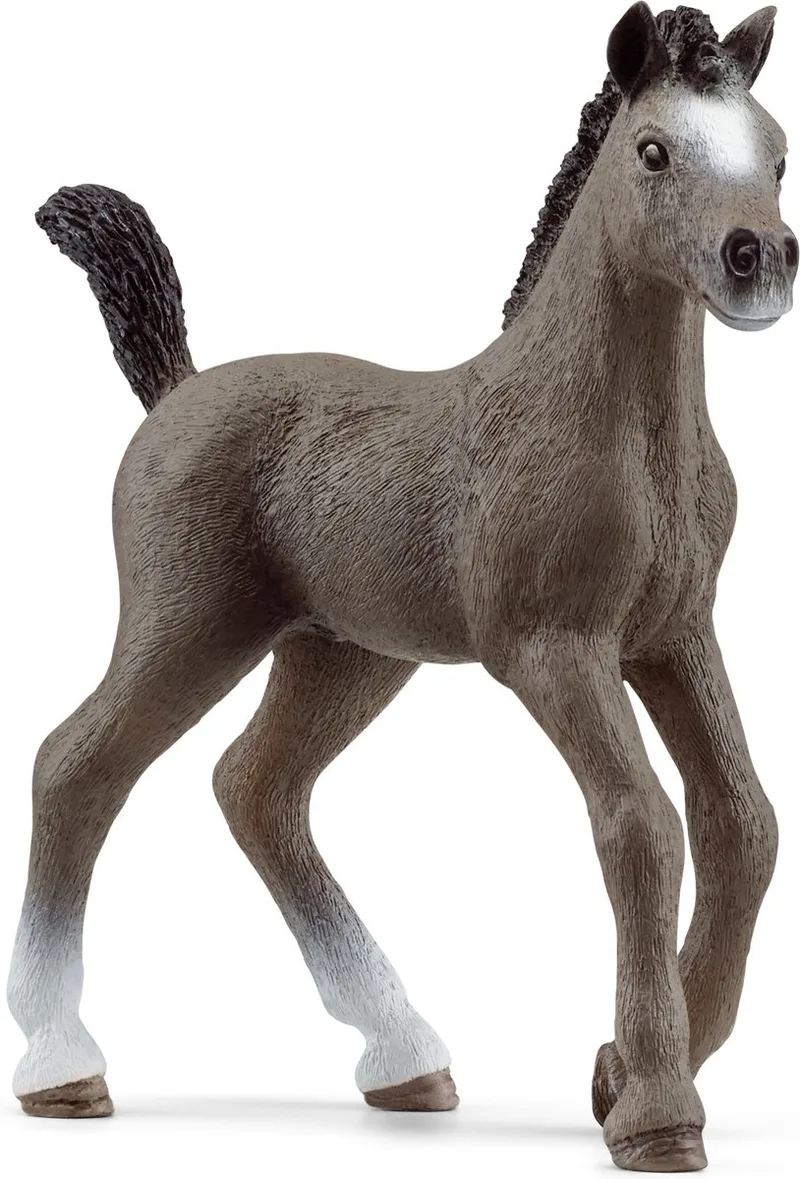 13957 Selle Français Foal by Schleich – product photo