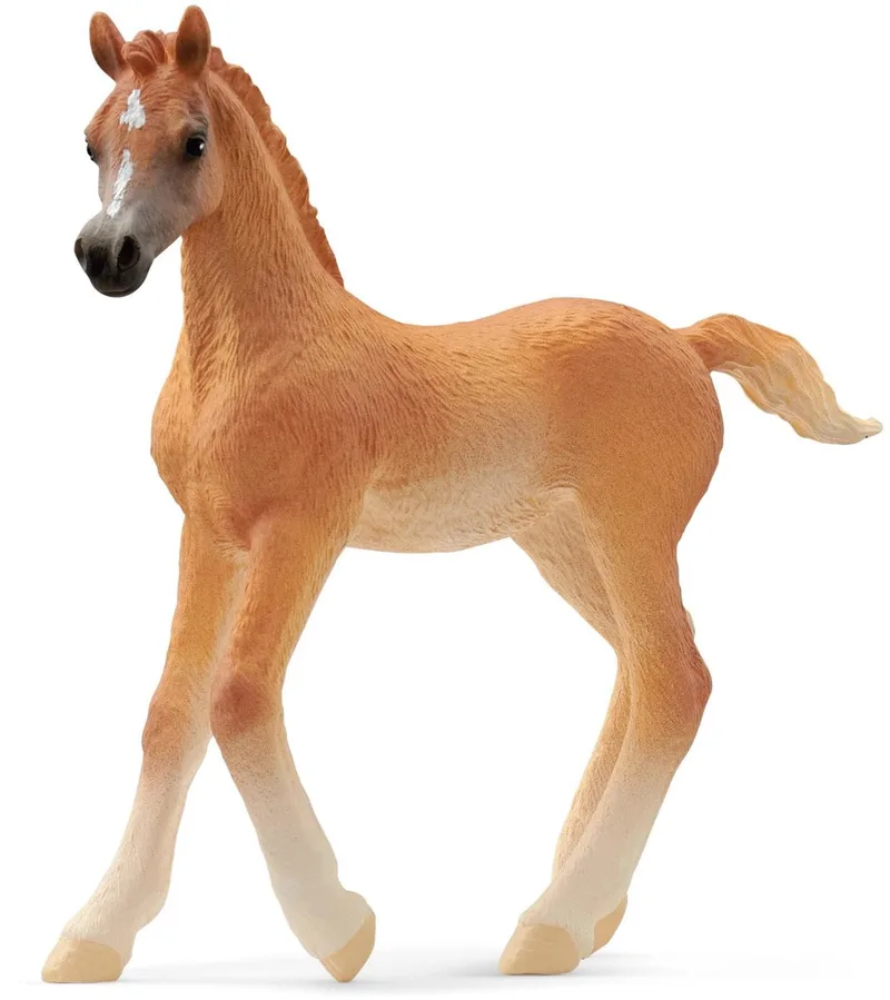 13984 Arabian Foal by Schleich – product photo
