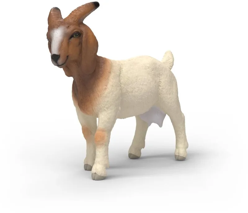 14929 Boer Goat by Schleich – product photo