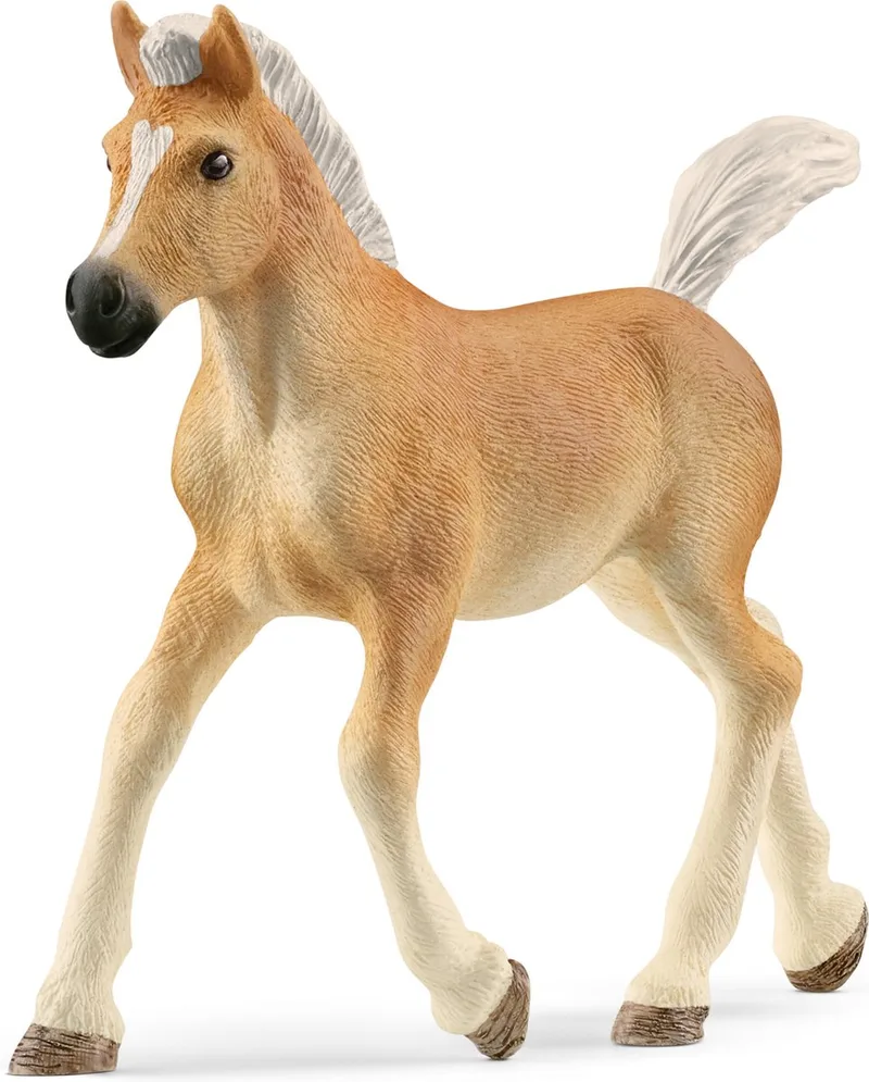 13951 Haflinger Foal fra Schleich – produktbillede 1 af 2