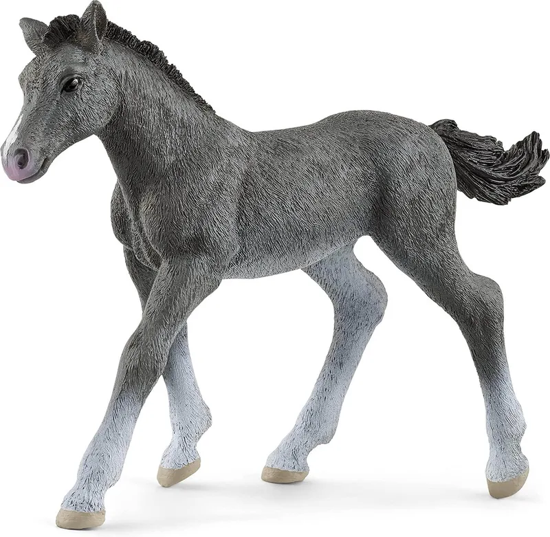 13944 Trakehner Foal by Schleich – product photo