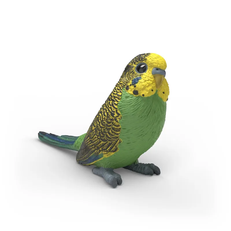 14939 Budgie från Schleich – produktbild 1 av 2
