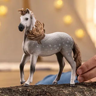 14895 Andalusian Stallion by Schleich – interior photo 2 of 2