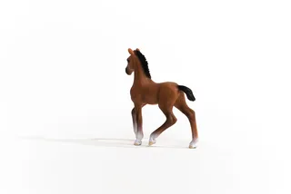 13947 Oldenburger Foal fra Schleich – produktbillede 3 af 4