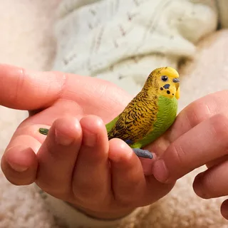 14939 Budgie från Schleich – miljöbild 2 av 2