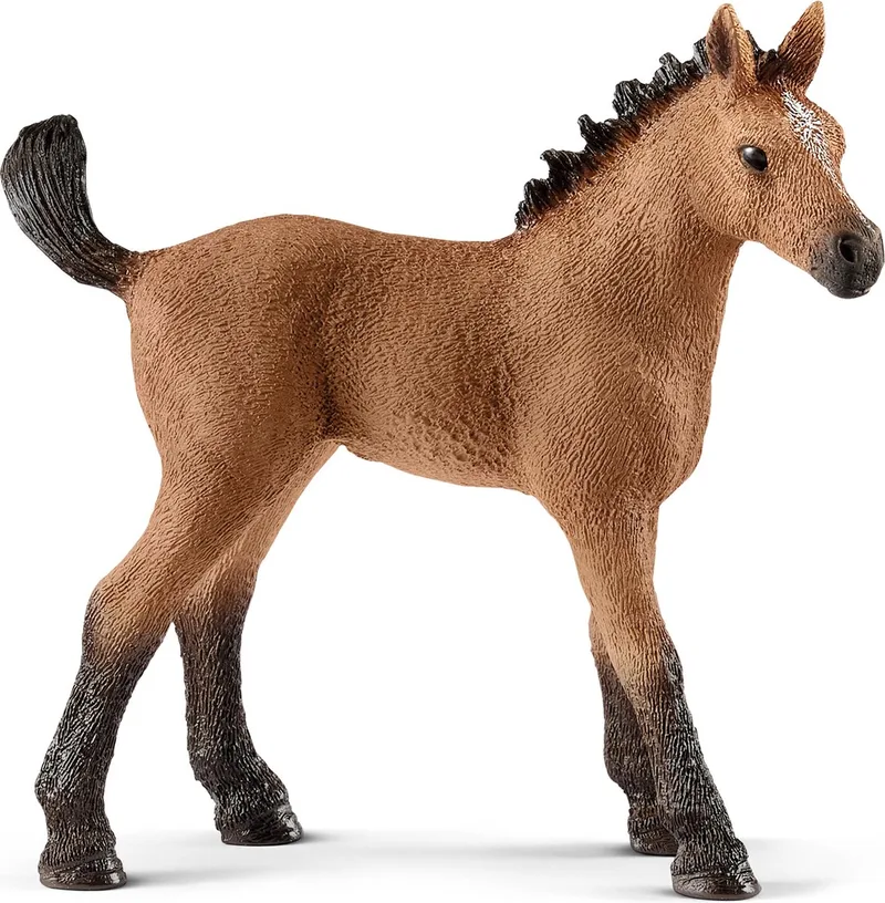 HORSE CLUB - Quarter Horse - Speelfiguur - Kinderspeelgoed voor Jongens en Meisjes - 5 tot 12 jaar - 13854 by Schleich in Veulen – product photo
