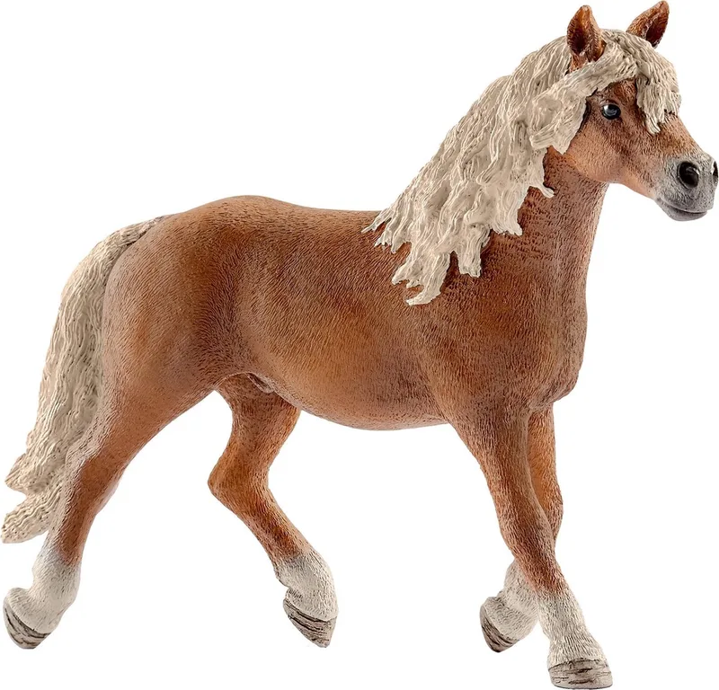 Paarden - Haflinger Hengst 13813 by Schleich in Multikleur – product photo