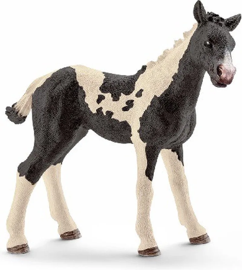 Pinto veulen - Schleich speelfiguurtje - nr. 17084 - 8,5 cm hoog by Schleich in Zwart-wit – product photo