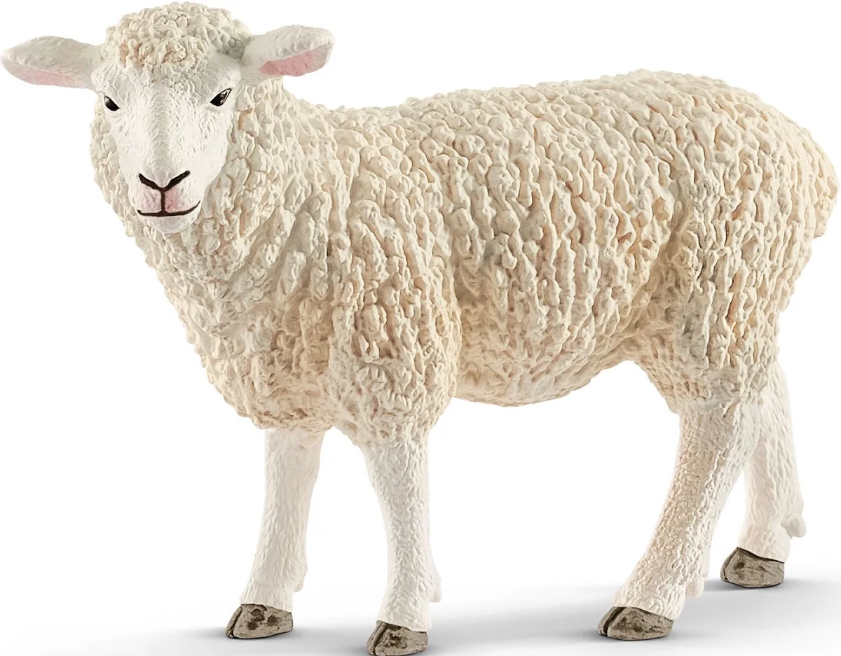 Schaap 13882 by Schleich – product photo