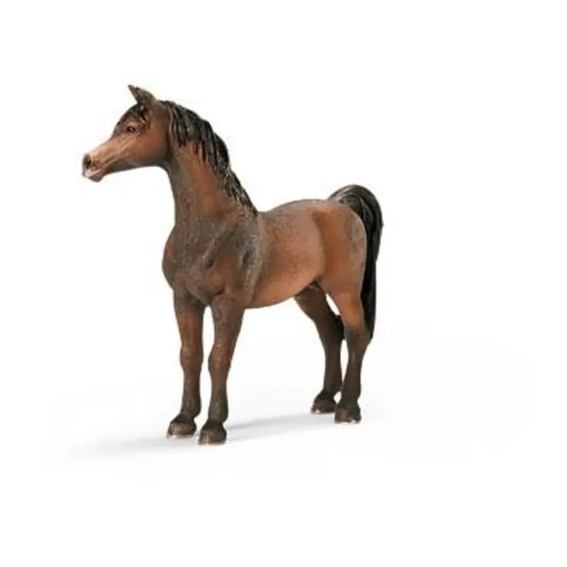 schleich® 13629 HORSE CLUB Araber Hengst fra Schleich – produktbillede