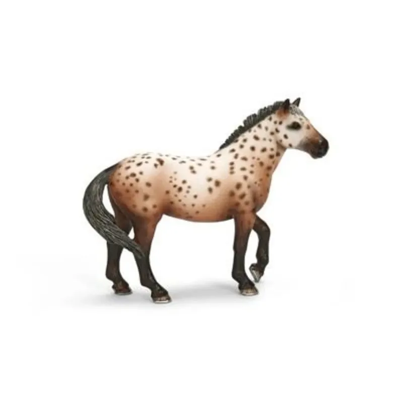 schleich® 13689 HORSE CLUB Knabstrupper Hengst fra Schleich – produktbillede