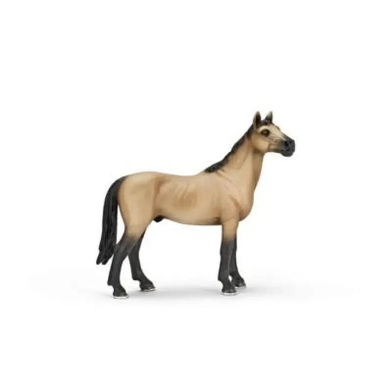 schleich® 13690 HORSE CLUB Achal Trekinger Hengst fra Schleich – produktbillede