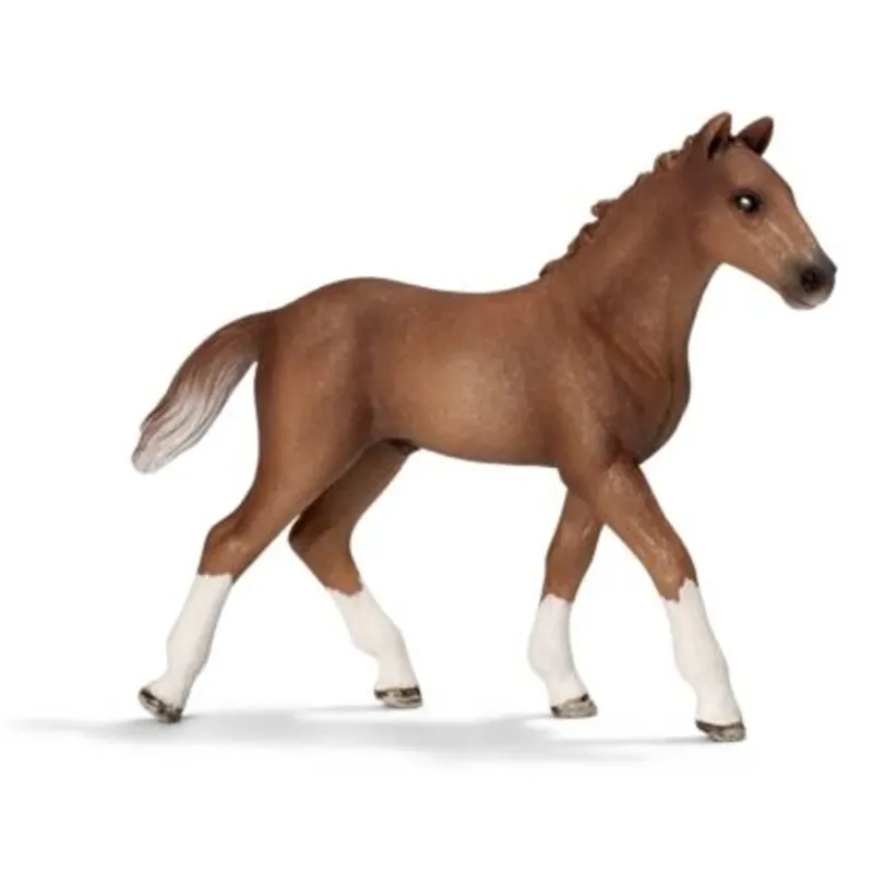schleich® 13730 HORSE CLUB Hannoveraner Fohlen van Schleich – productfoto