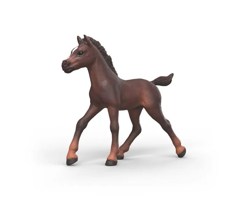 Spielfigur HORSE CLUB, Sammelfohlen Ravi (81479) fra Schleich i Flerfarvet – produktbillede 1 af 3