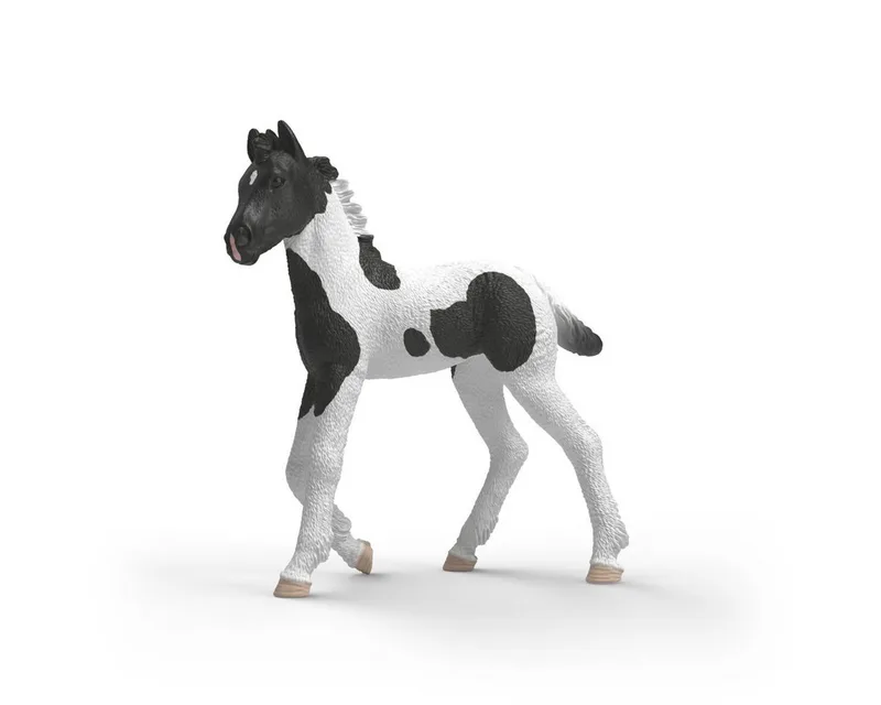 Spielfigur HORSE CLUB, Sammelfohlen Rocky (81481) fra Schleich i Flerfarvet – produktbillede 1 af 3